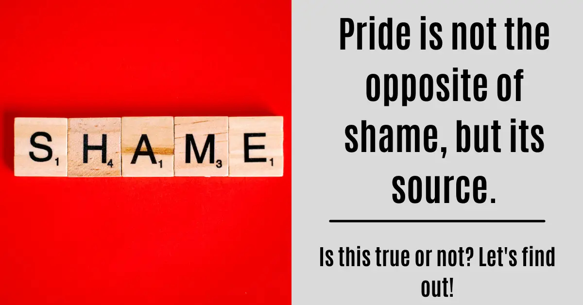 Pride Is Not The Opposite Of Shame But Its Source 