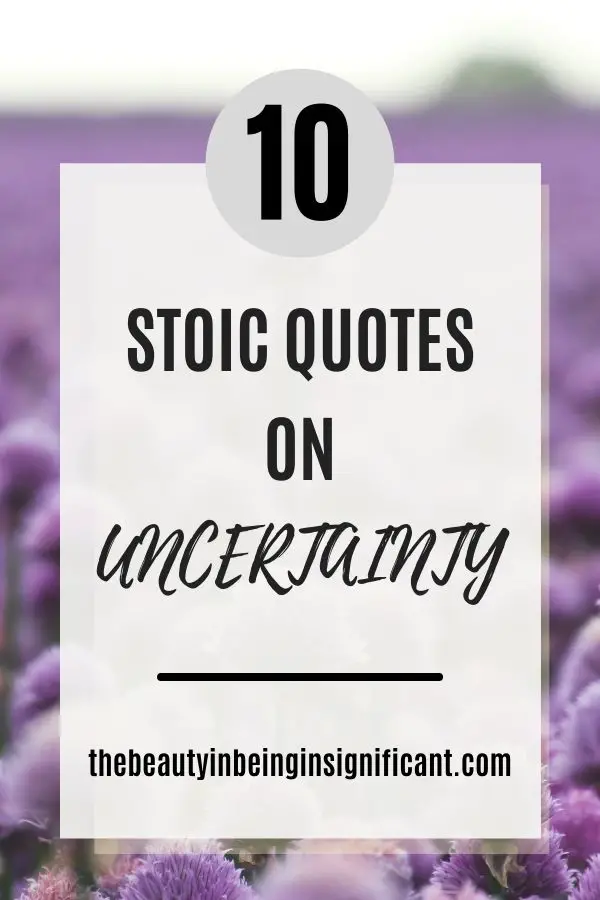 stoic quotes on uncertainty title pin