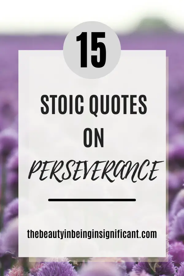 stoic quotes on perseverance