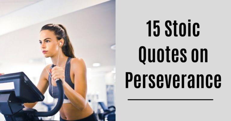 15 Stoic Quotes on Perseverance That’ll Keep You Going