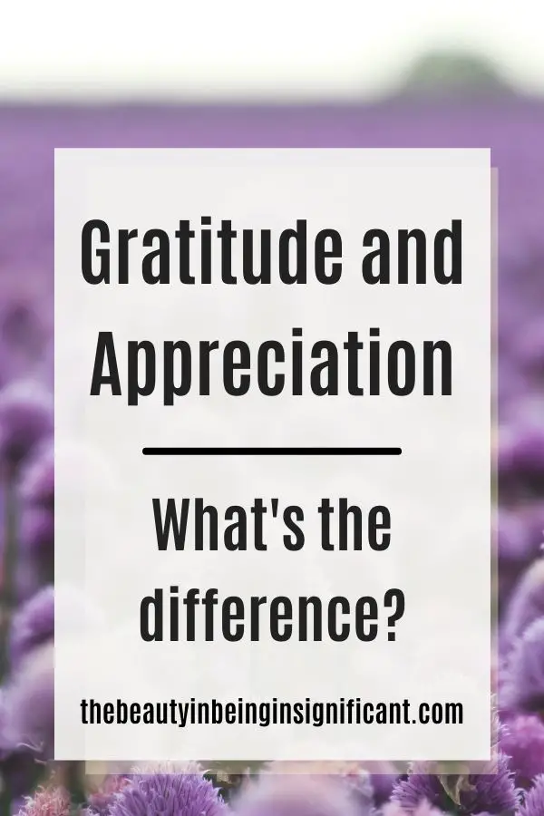 gratitude and appreciation