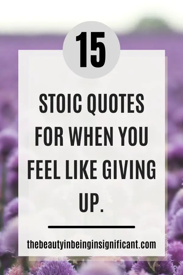 quotes for when you feel like giving up