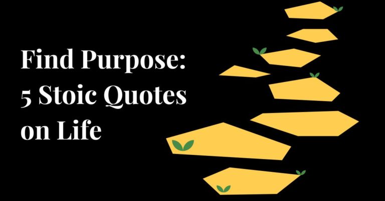 Find Purpose with these 5 Stoic Quotes on Life