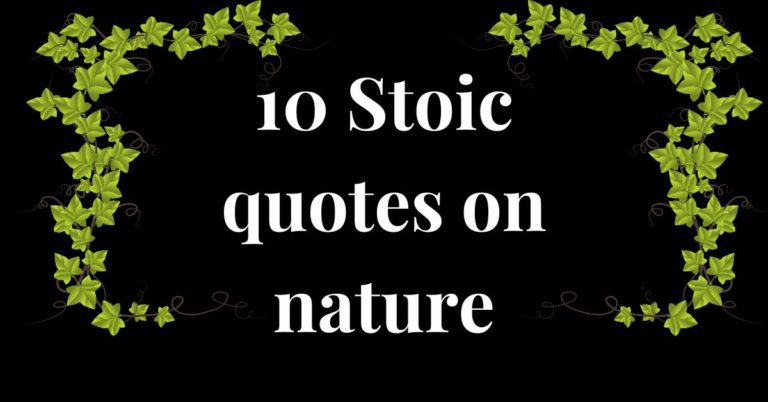 Discover your place in the world: 10 Stoic quotes on nature