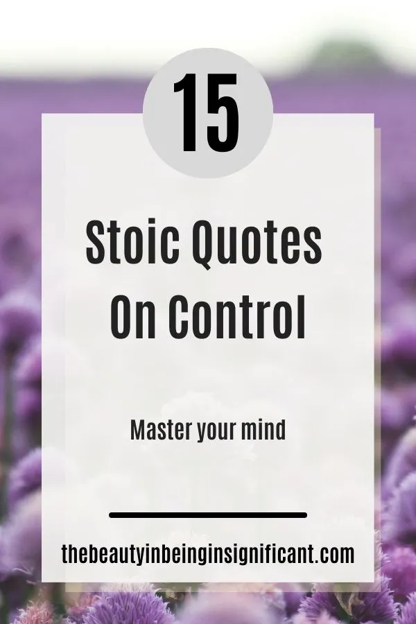 stoic quotes on control idea pin